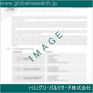 グローバルリサーチ調査資料のイメージ